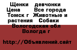 Щенки - девчонки › Цена ­ 2 - Все города, Томск г. Животные и растения » Собаки   . Вологодская обл.,Вологда г.